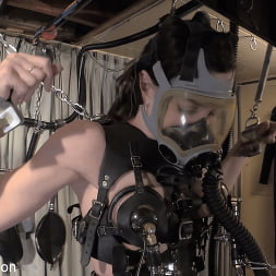 Elise Graves に 'Kink Partners' 生き物の快適さ (サムネイル 4)