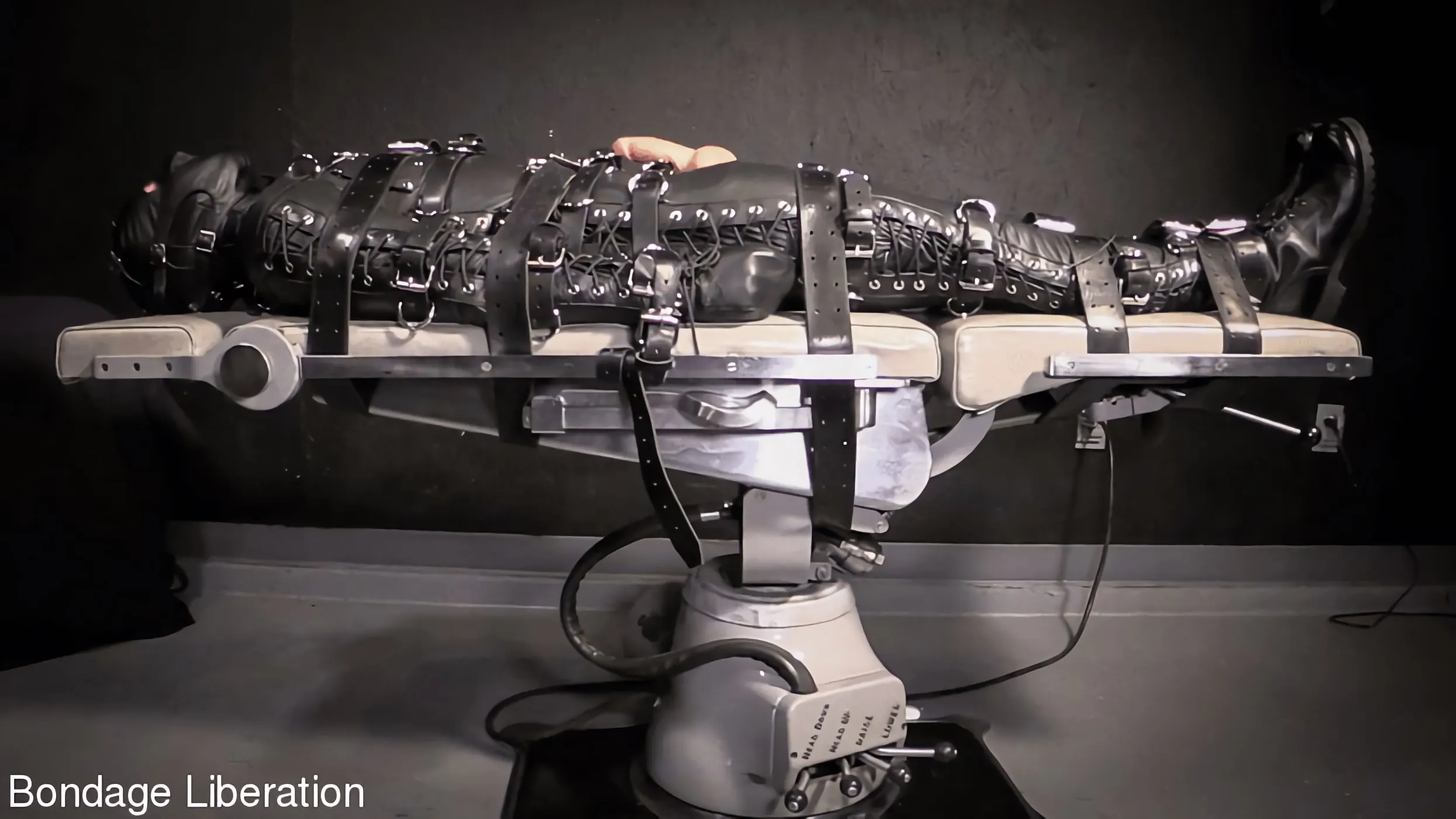 Kink Partners 'Follada y chupada eléctricamente' protagonizando Elise Graves (foto 1)