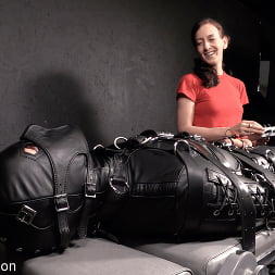 Elise Graves に 'Kink Partners' 電気的に犯され、吸われて (サムネイル 5)