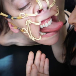 Elise Graves in 'Kink Partners' In Hog Heaven (Thumbnail 22)