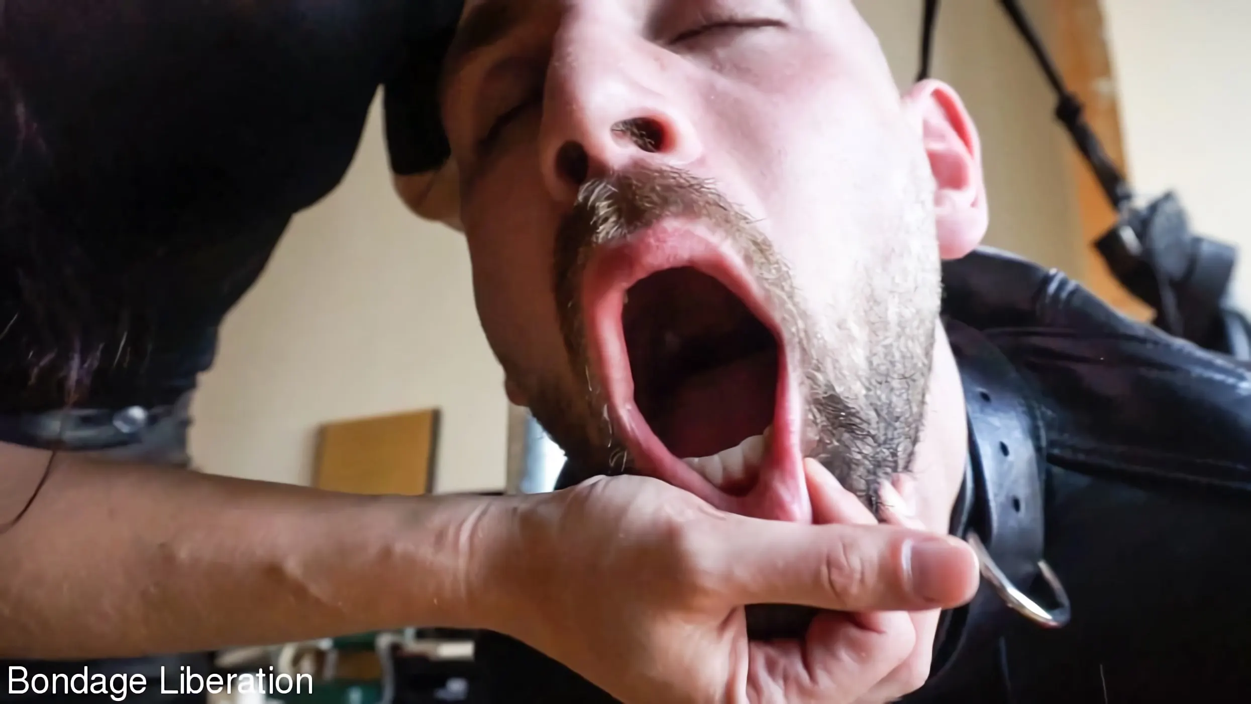 Kink Partners 'Juguete sexual de cuero' protagonizando Elise Graves (foto 3)