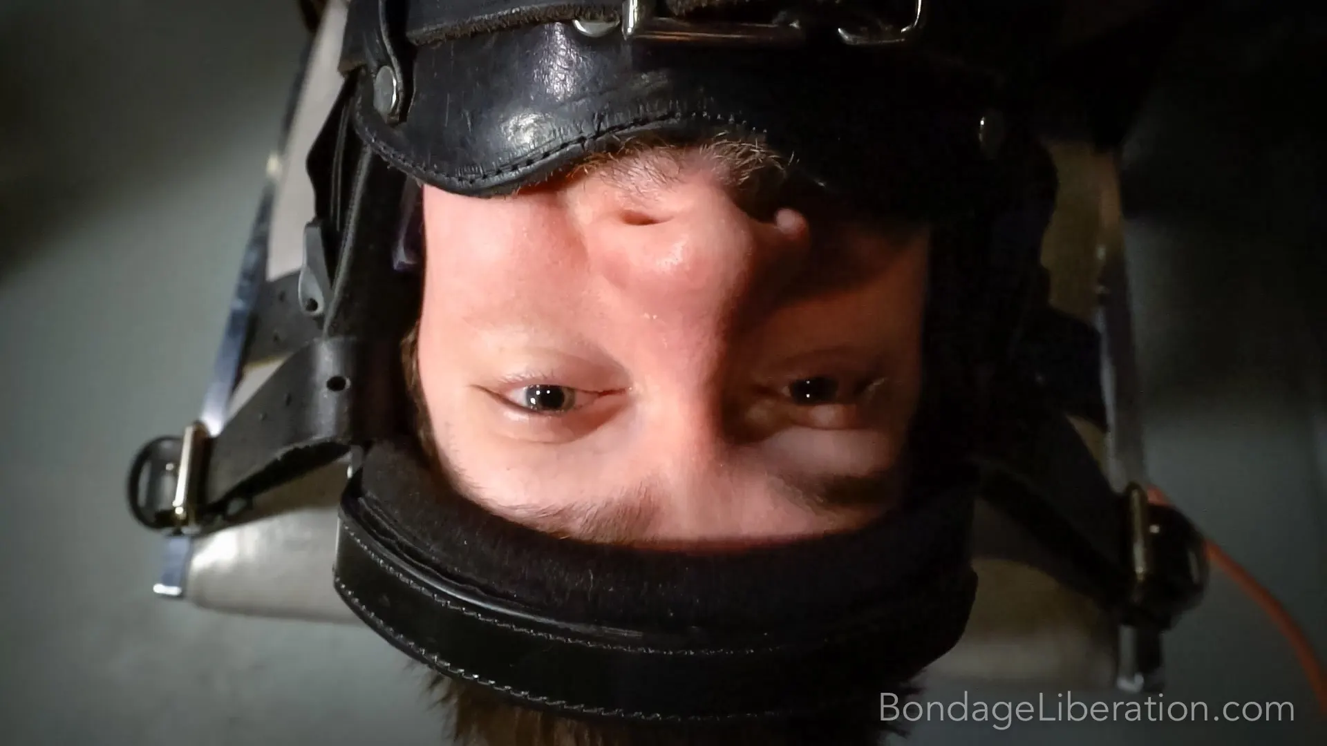 Kink Partners 'Orgasmo a toda velocidad' protagonizando Elise Graves (foto 2)