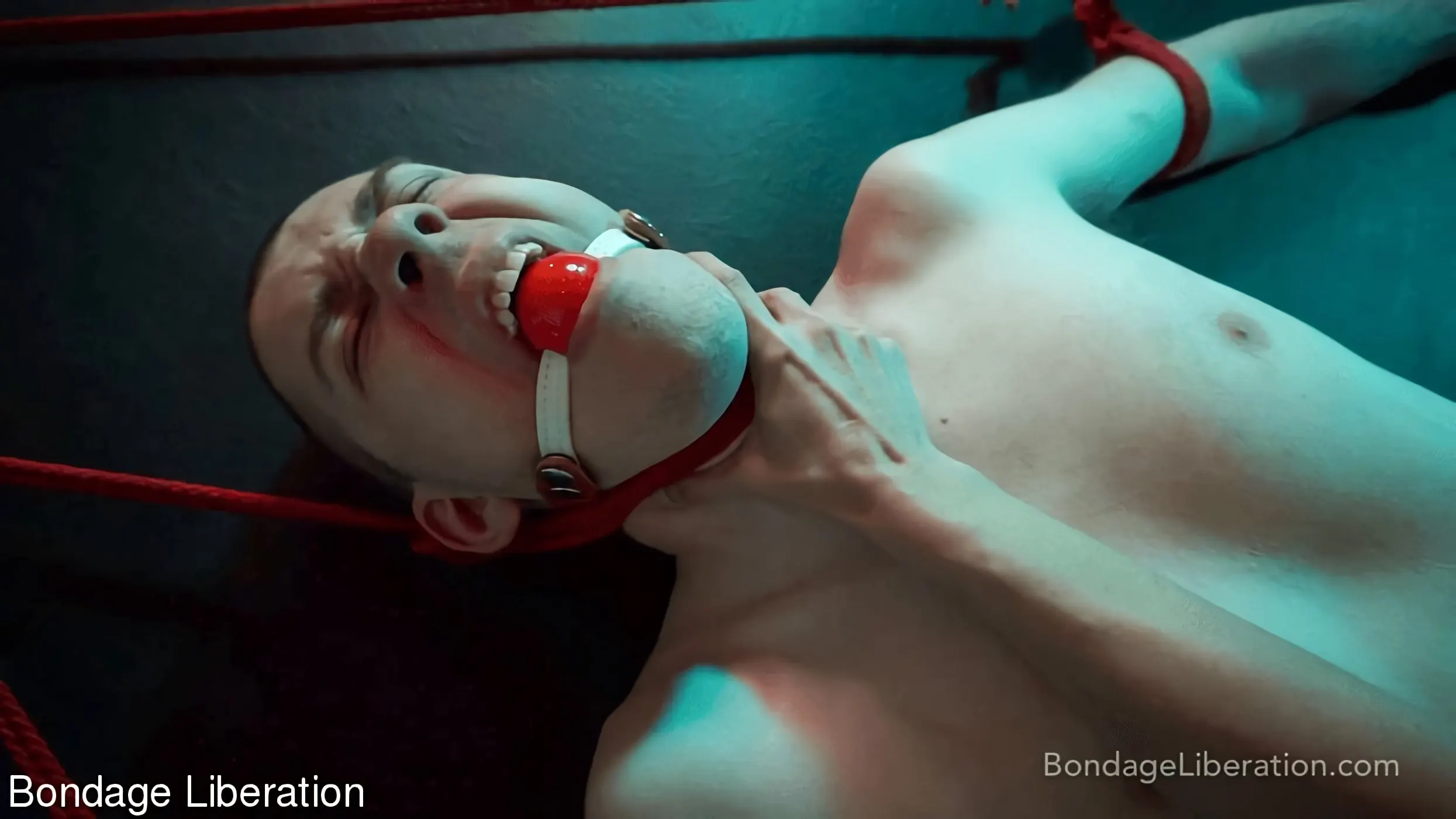 Kink Partners 'Tomar el pelo' protagonizando Elise Graves (foto 13)