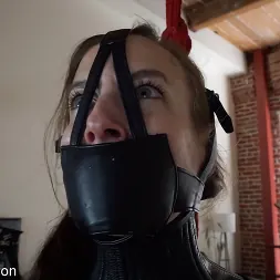 Elise Graves in Shaking in My Boots (Photo 21) Elise Graves in 'Kink Partners' Shaking in My Boots (Thumbnail 21)