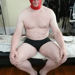 Elise Graves en 'Kink Partners' Alguien está emocionado (Miniatura 2)