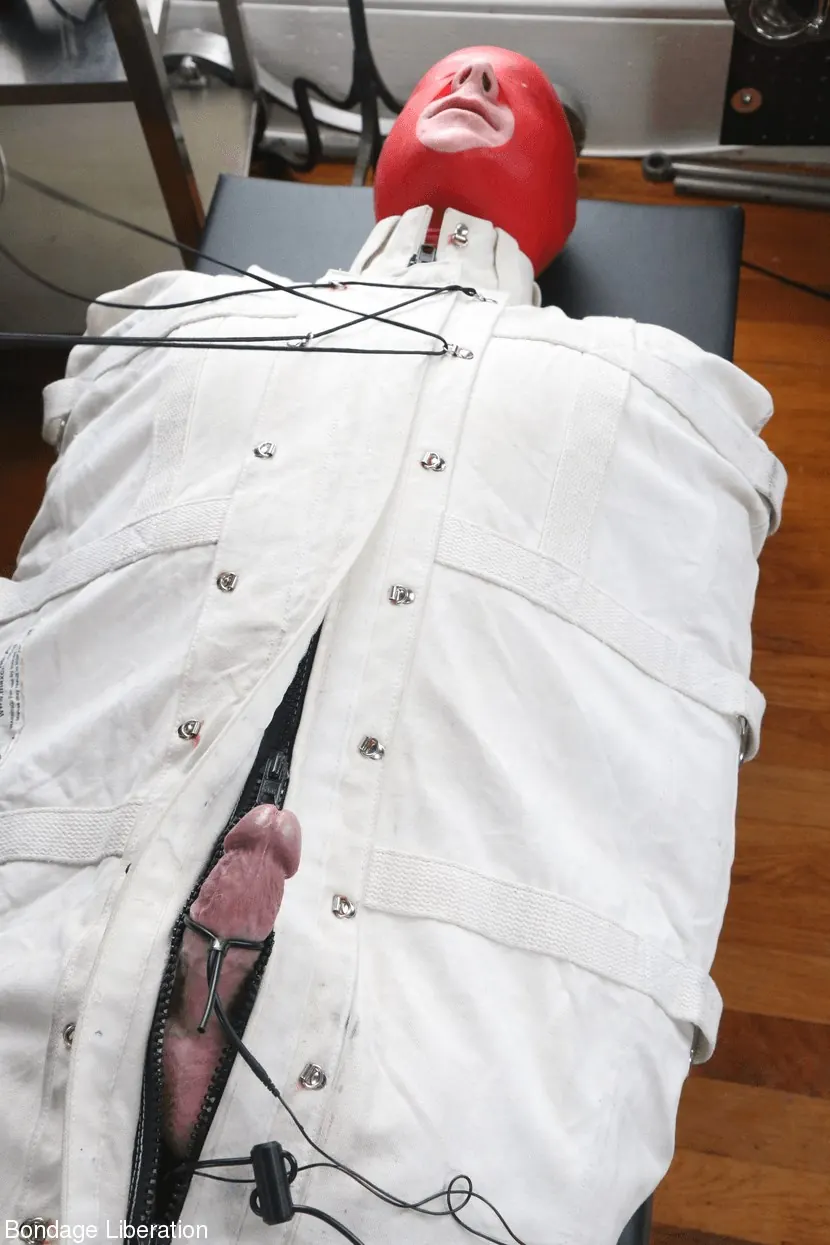 Kink Partners 'Alguien está emocionado' protagonizando Elise Graves (foto 7)