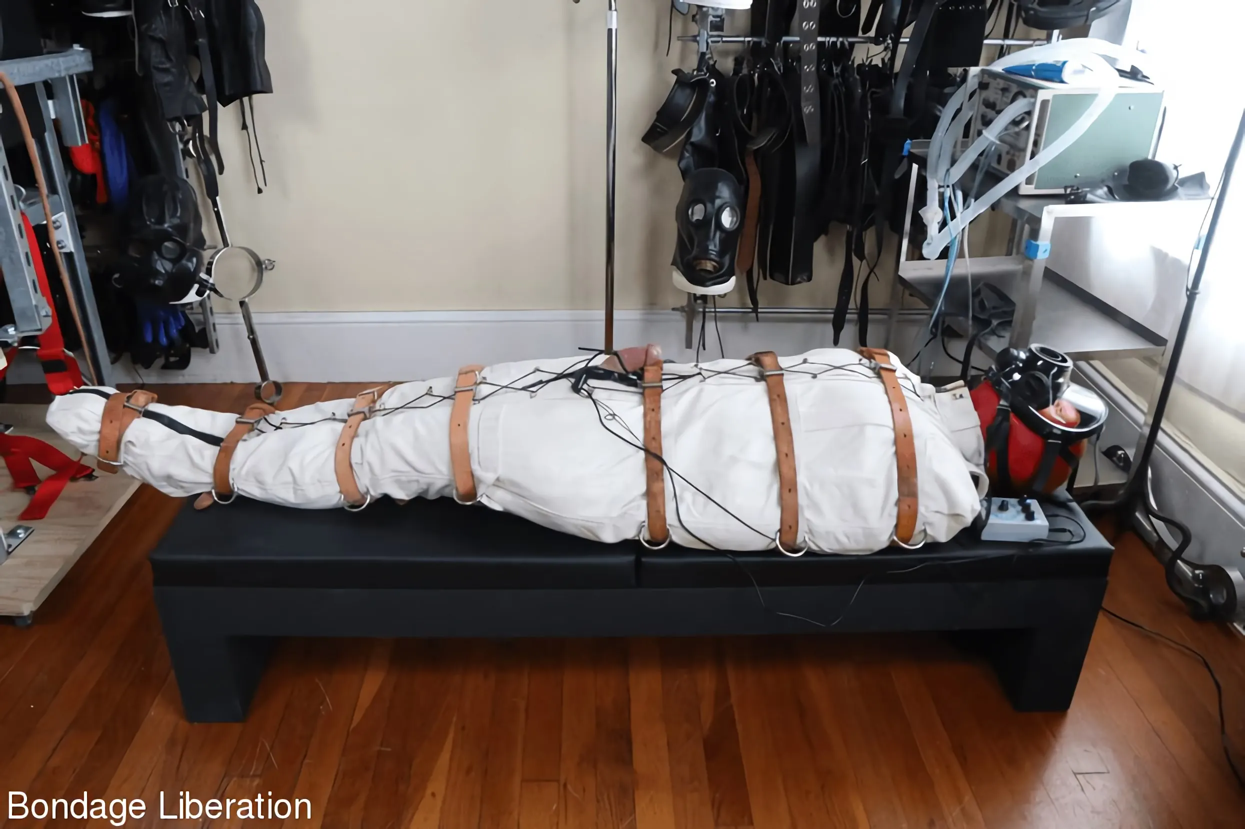 Kink Partners 'Alguien está emocionado' protagonizando Elise Graves (foto 15)