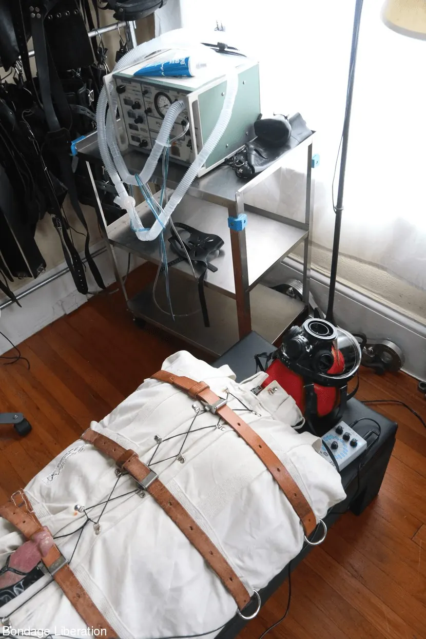 Kink Partners 'Alguien está emocionado' protagonizando Elise Graves (foto 17)