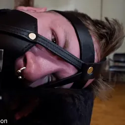 Elise Graves en 'Kink Partners' Si ahorras la vara, arruinarás la diversión (Miniatura 9)