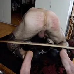 Elise Graves en 'Kink Partners' Si ahorras la vara, arruinarás la diversión (Miniatura 10)