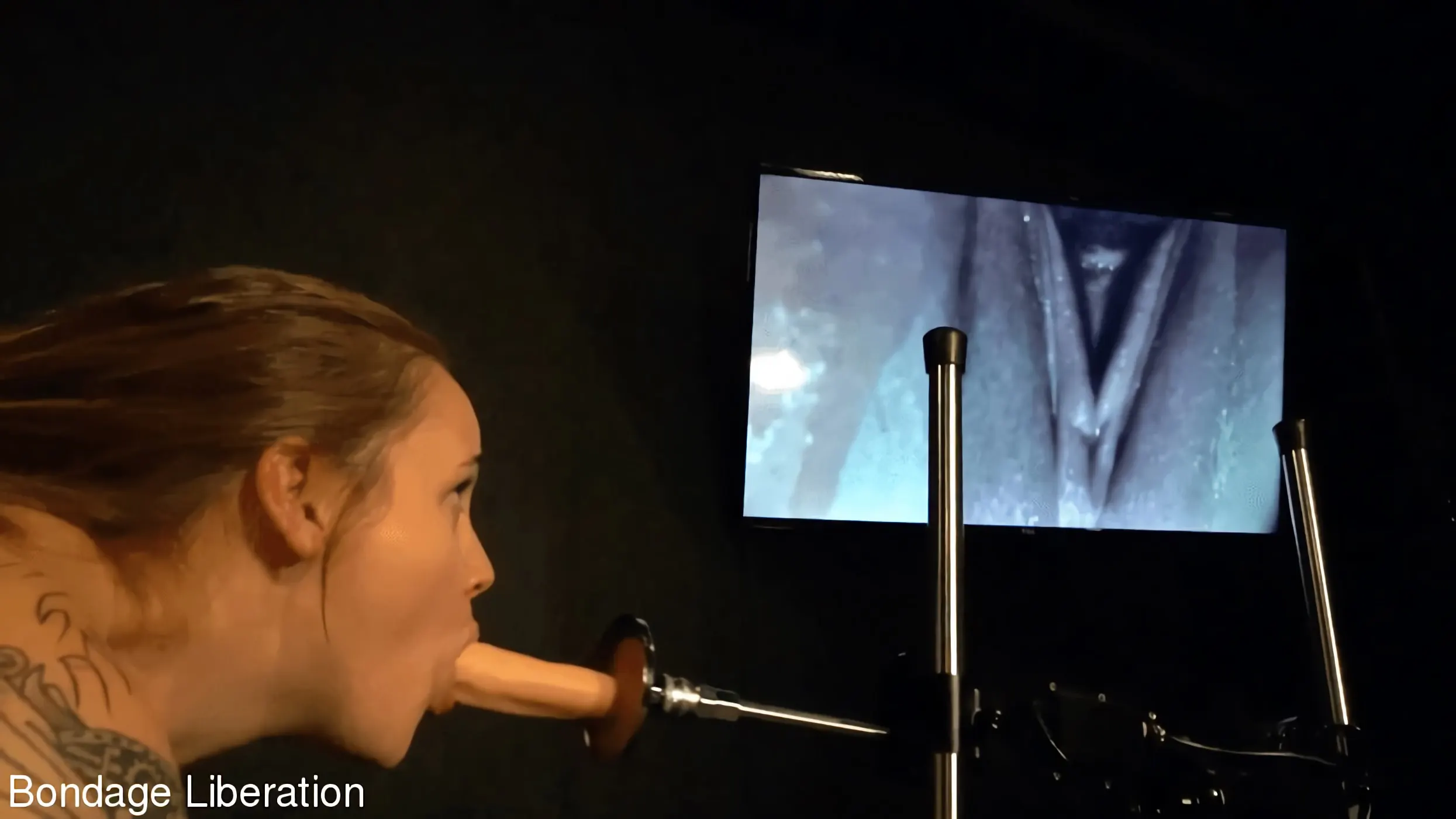 Kink Partners 'Sasha asada al asador' protagonizando Elise Graves (foto 3)