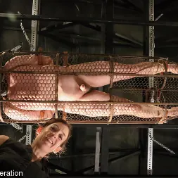 Elise Graves en 'Kink Partners' Atada en una jaula suspendida y obligada a llegar al orgasmo con Venus 2000 (Miniatura 9)