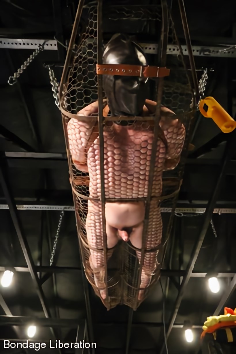 Kink Partners '吊り下げられたケージに縛られ、金星でオーガズムに作られた 2000' 主演 Elise Graves (写真 10)