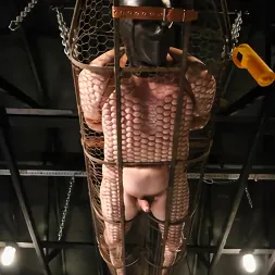 Elise Graves en 'Kink Partners' Atada en una jaula suspendida y obligada a llegar al orgasmo con Venus 2000 (Miniatura 10)