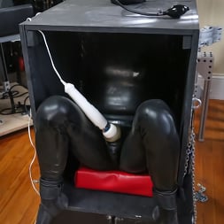 Elise Graves in 'Kink Partners' Teased in a Box (Thumbnail 2)