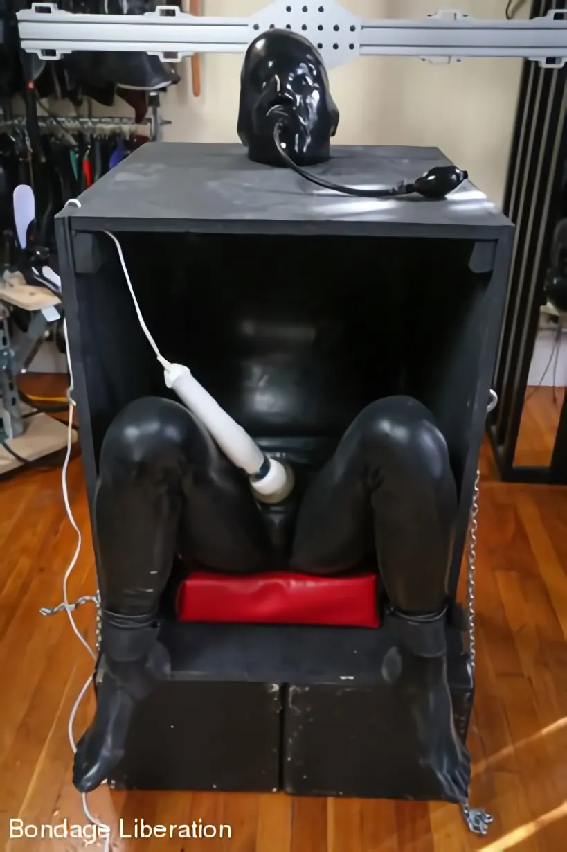 Kink Partners 'Burla en una caja' protagonizando Elise Graves (foto 3)