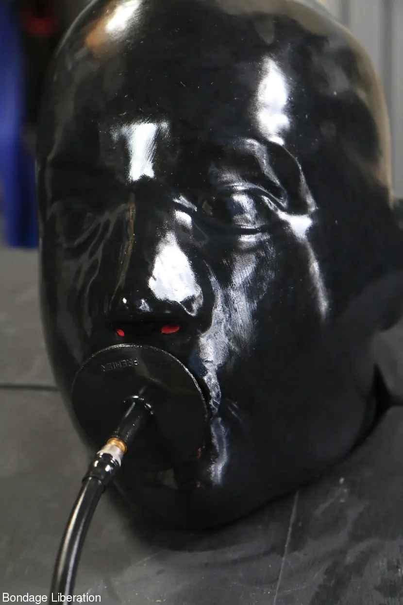 Kink Partners 'Burla en una caja' protagonizando Elise Graves (foto 4)