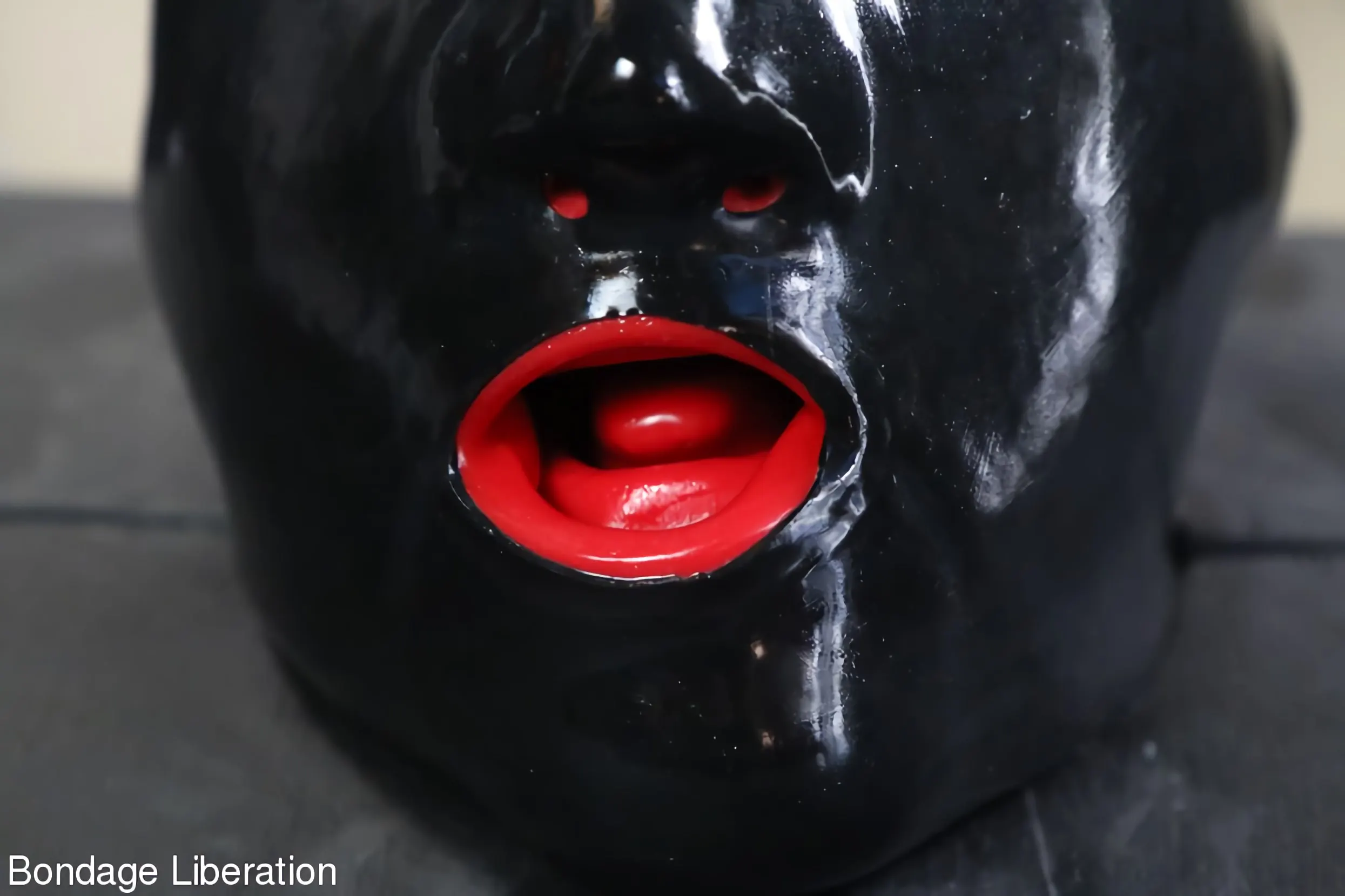 Kink Partners 'Burla en una caja' protagonizando Elise Graves (foto 6)