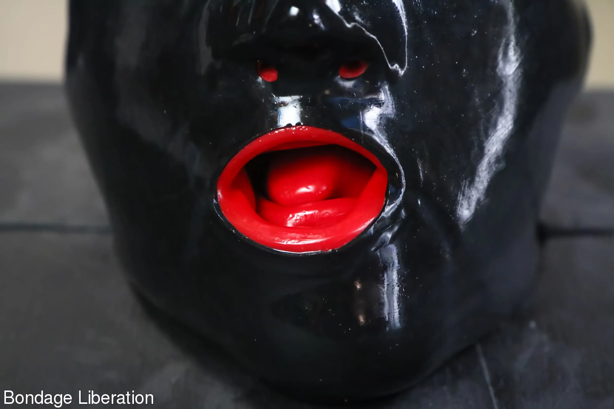 Kink Partners 'Burla en una caja' protagonizando Elise Graves (foto 7)