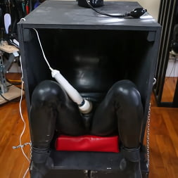Elise Graves に 'Kink Partners' 箱の中でからかう (サムネイル 3)