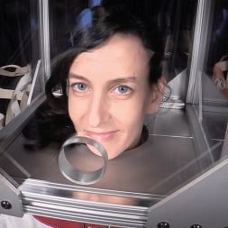 Elise Graves に 'Kink Partners' トニーはエリーゼに歯を食いしばる (サムネイル 2)