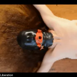 Elise Graves en 'Kink Partners' Demasiado cerca para la comodidad (Miniatura 15)