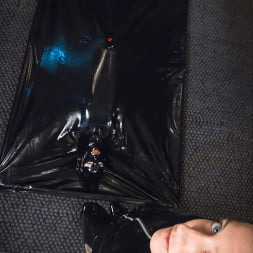 Elise Graves に 'Kink Partners' ベスパはすべて吸い上げられました (サムネイル 14)