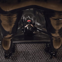Elise Graves に 'Kink Partners' ベスパはすべて吸い上げられました (サムネイル 15)