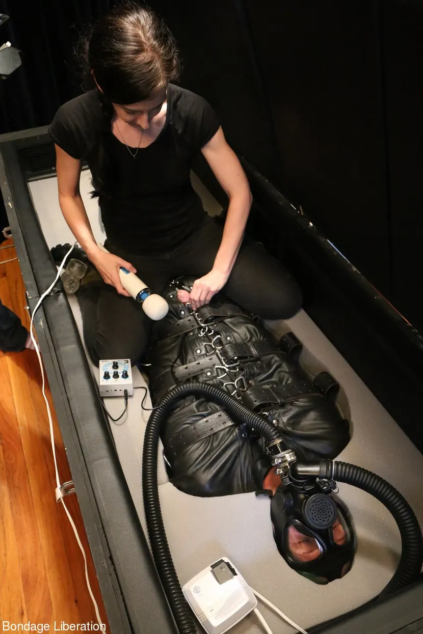 Kink Partners 'Cuando Elise conoció a pasatiempos extraños' protagonizando Elise Graves (foto 1)