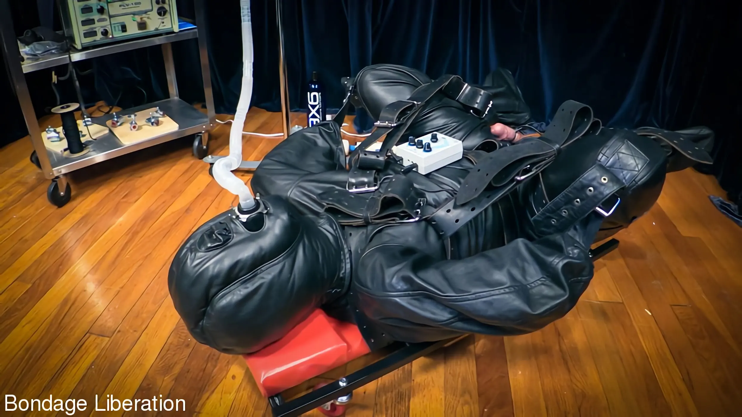 Kink Partners 'No tienes el control' protagonizando Elise Graves (foto 3)