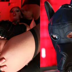 Elle Brook en Perras de bondage con traseros grandes (foto 6) Elle Brook en 'Kink Partners' Perras de bondage con traseros grandes (Miniatura 6)