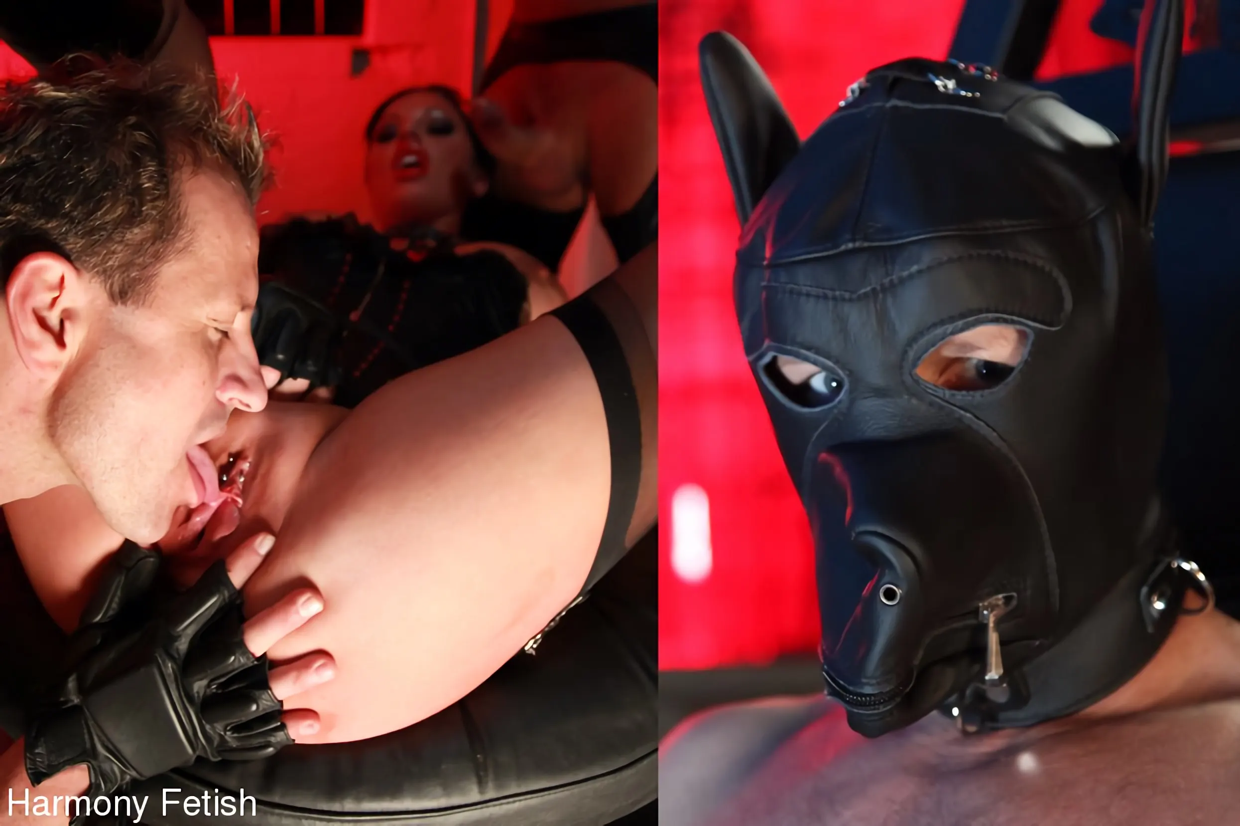 Elle Brook en 'Perras de bondage con traseros grandes' from 'Kink Partners' (foto 3) Kink Partners 'Perras de bondage con traseros grandes' protagonizando Elle Brook (foto 3)