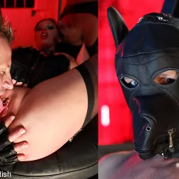 Elle Brook in Big Bottom Bondage Bitches (Photo 3) Elle Brook in 'Kink Partners' Big Bottom Bondage Bitches (Thumbnail 3)