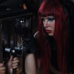 Goddess Starla に 'Kink Partners' モントリオールのダンジョンで (サムネイル 14)