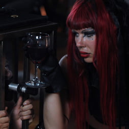 Goddess Starla に 'Kink Partners' モントリオールのダンジョンで (サムネイル 14)