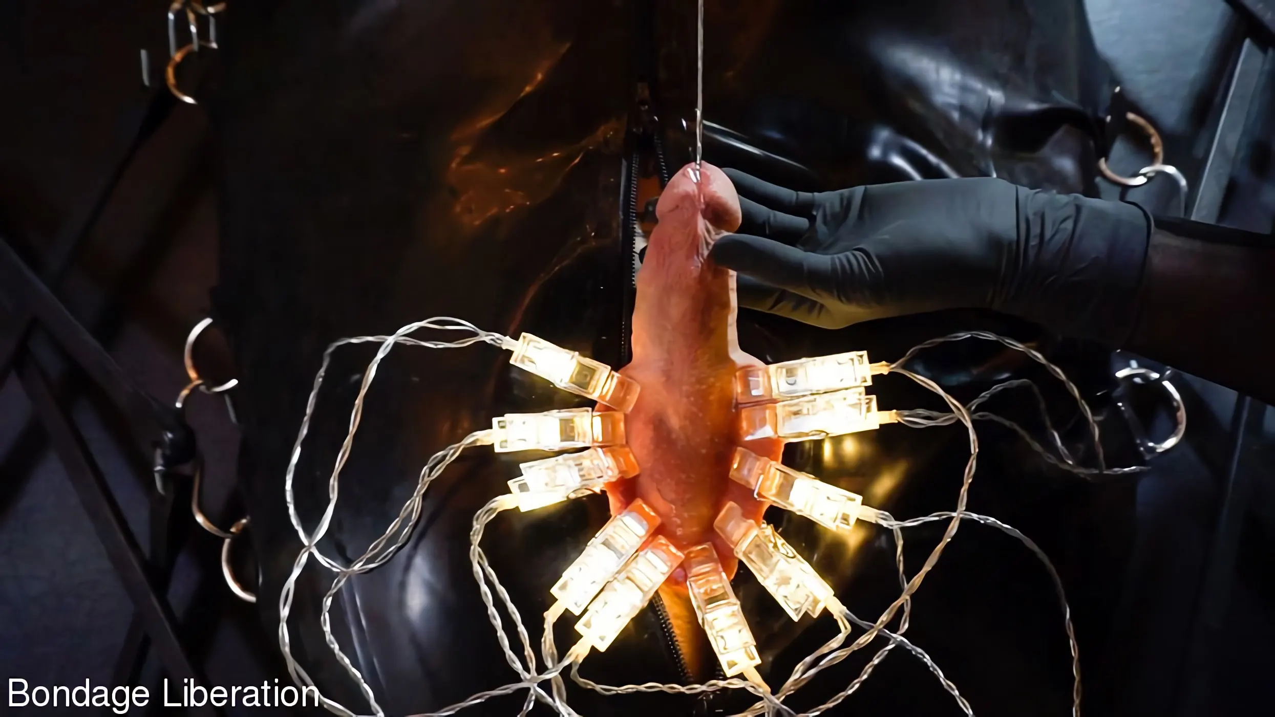 Kink Partners 'Mente y cuerpo sanos' protagonizando Heavybondage4life (foto 14)