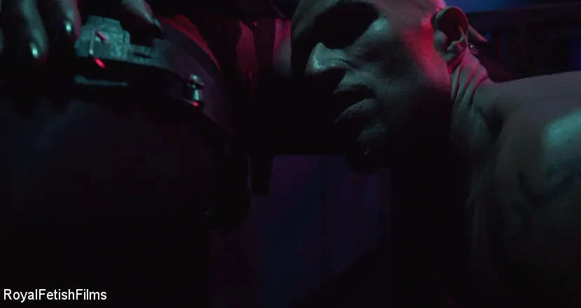 Jet Setting Jasmine に '映画のような人生' from 'Kink Partners' (写真 1) Kink Partners '映画のような人生' 主演 Jet Setting Jasmine (写真 1)