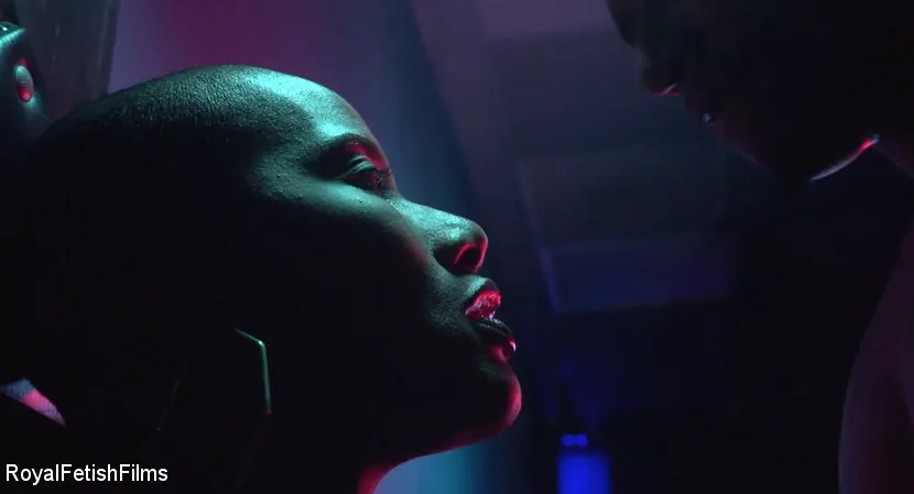 Jet Setting Jasmine に '映画のような人生' from 'Kink Partners' (写真 4) Kink Partners '映画のような人生' 主演 Jet Setting Jasmine (写真 4)