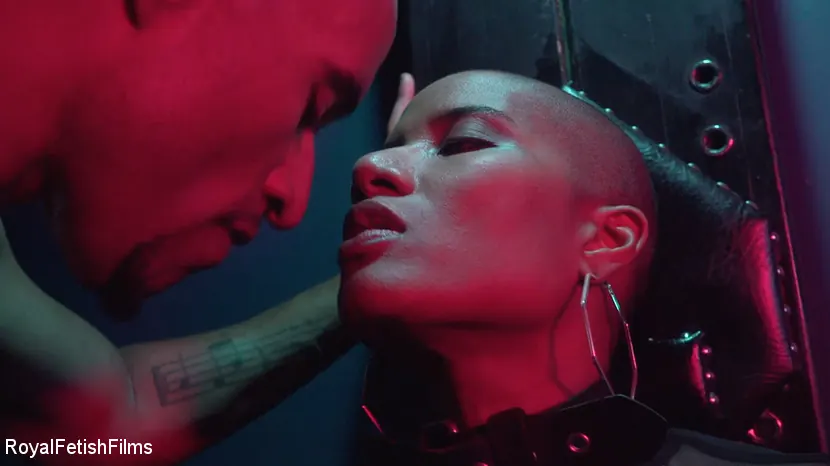 Jet Setting Jasmine に '映画のような人生' from 'Kink Partners' (写真 6) Kink Partners '映画のような人生' 主演 Jet Setting Jasmine (写真 6)