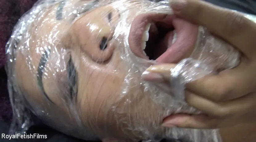 Jet Setting Jasmine に 'キンクでラップソディ' from 'Kink Partners' (写真 6) Kink Partners 'キンクでラップソディ' 主演 Jet Setting Jasmine (写真 6)