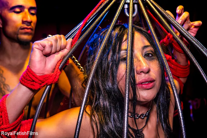 Kink Partners 'ケージとバインドアナルクリームパイ' 主演 King Noire (写真 3)