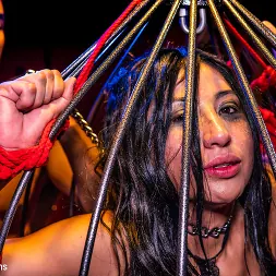 King Noire に 'Kink Partners' ケージとバインドアナルクリームパイ (サムネイル 13)