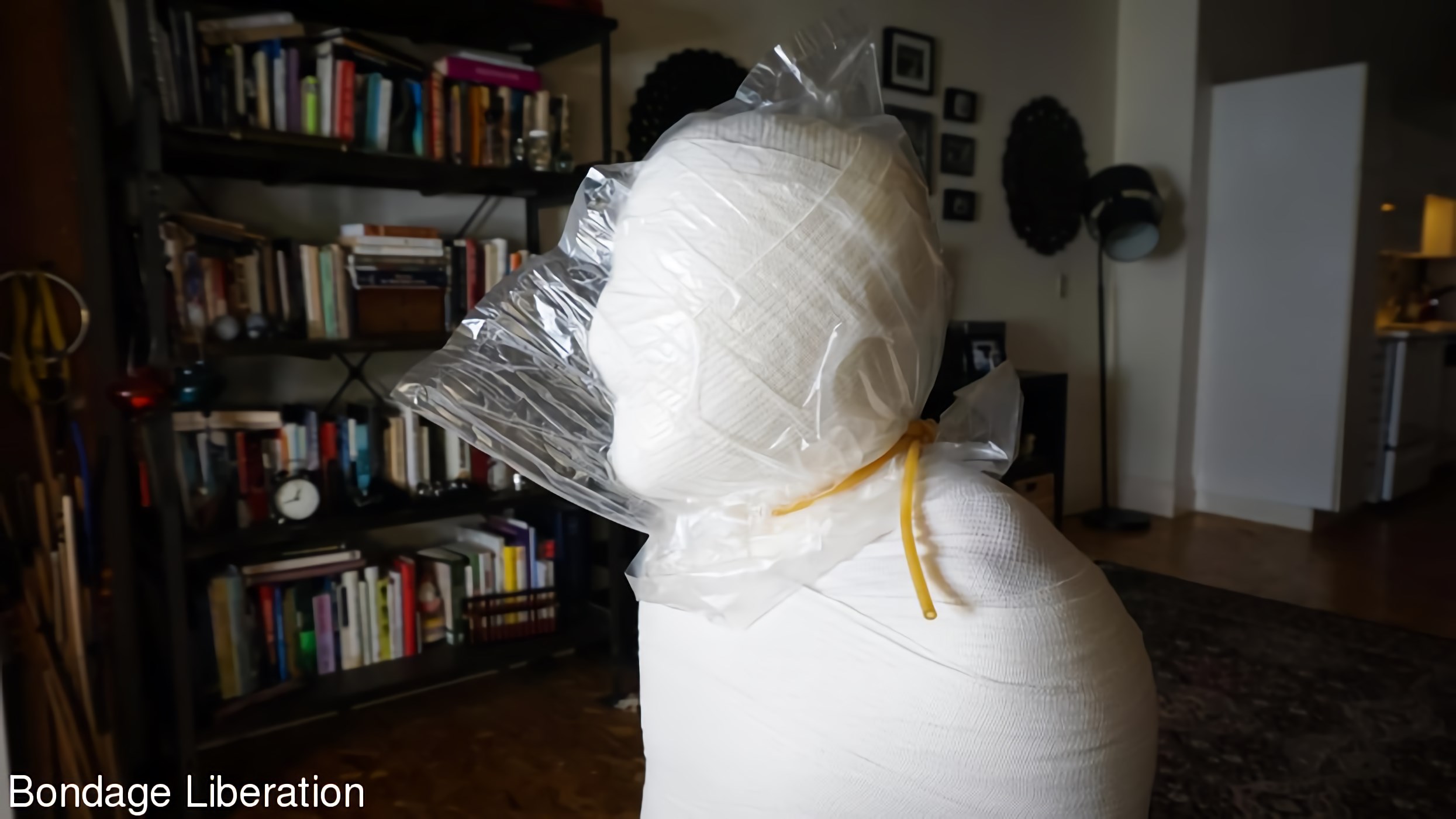 Elise Graves in 'Kink Partners' Kept Under Wraps: Part Two (Thumbnail 21)
