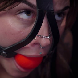 Knotty Peach in 'Kink Partners' Elise's Pretty Peach (Thumbnail 4)