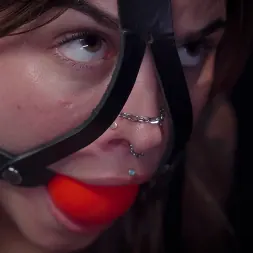 Knotty Peach en 'Kink Partners' El bonito melocotón de Elise (Miniatura 4)