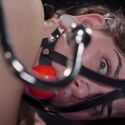 Knotty Peach en 'Kink Partners' El bonito melocotón de Elise (Miniatura 9)