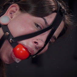 Knotty Peach in 'Kink Partners' Elise's Pretty Peach (Thumbnail 16)