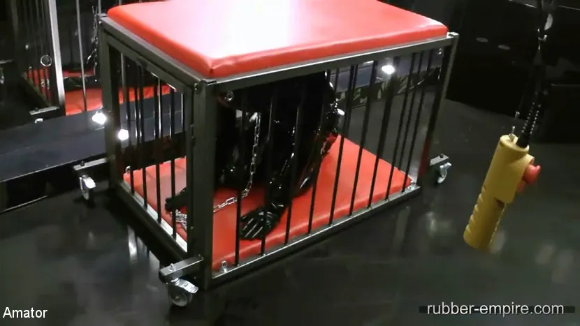 Kink Partners 'Deviant: Capítulo uno' protagonizando Lady Ashley (foto 4)