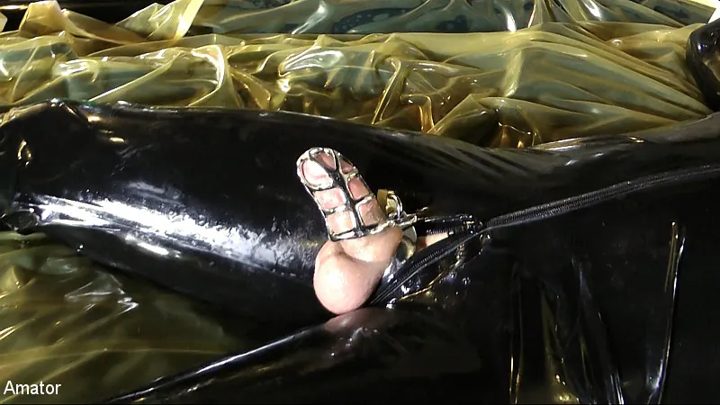 Lady Ashley en 'and Slave: Part 3 'The Rubber Room'' from 'Kink Partners' (foto 15) Kink Partners 'and Slave: Part 3 'The Rubber Room'' protagonizando Lady Ashley (foto 15)