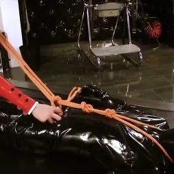 Lady Ashley in 'Kink Partners' Quoad Locus: Bondage (Thumbnail 9)